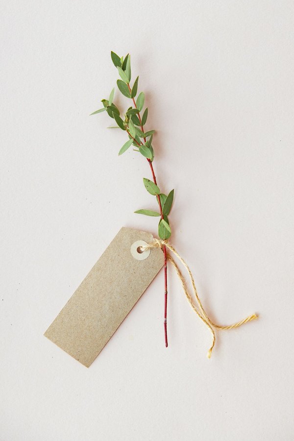 Création graphique pour projets d'étiquettes professionnelles